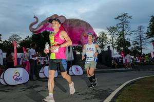 BIB: 
                            <button type="button" onclick="openModal(26529534)" class="btn btn-primary btn-sm float-right btn-popup" data-toggle="modal" data-target=".modal-high-quality">
                        <i class="fas fa-shopping-cart"></i> Add to Cart
                    </button>
                                            <button type="button" onclick="isThisMe(26529534, true)" class="btn btn-success btn-sm float-right btn-popup btn-isme hidden" data-toggle="tooltip" data-placement="bottom" title="นี่คือรูปของคุณใช่ไหม คลิกที่นี่เพื่อเอาเข้าอัลบั้ม">
                        <i class="fas fa-plus"></i> Add to album
                    </button>
                    <button type="button" onclick="isThisMe(26529534, false)" class="btn btn-warning btn-sm float-right btn-popup btn-isnotme hidden">
                        <i class="fas fa-ban"></i> Remove from album
                    </button>